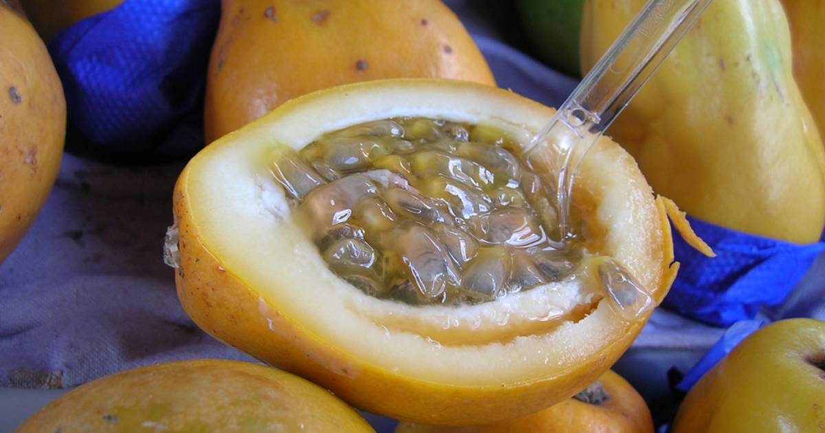 Passionfruit in New Zealand - Best Time