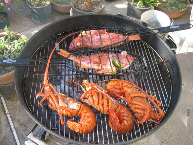 Rock Lobsters in New Zealand - Best Time