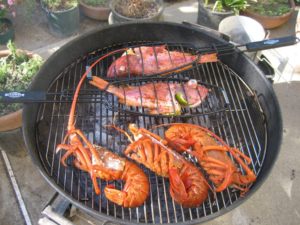 Rock Lobsters in New Zealand - Best Time