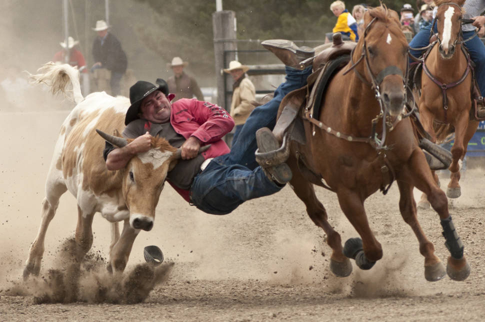 Rodeo in New Zealand - Best Season