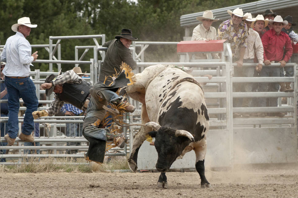 Best time for Rodeo in New Zealand