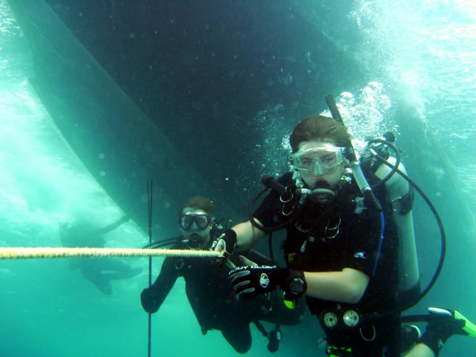 Spearfishing in New Zealand - Best Time
