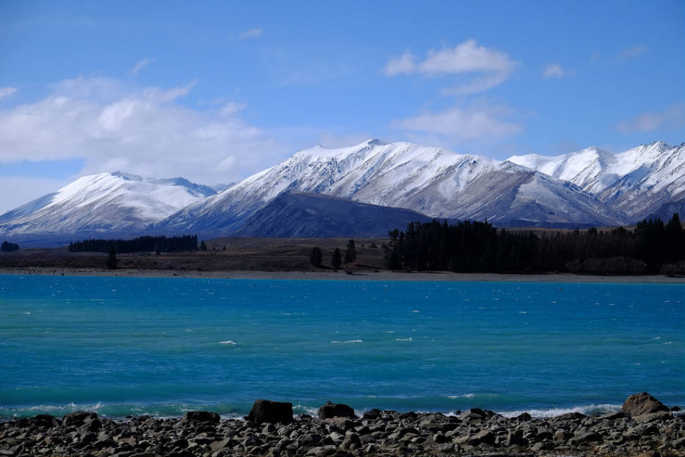 Spring in New Zealand - Best Season