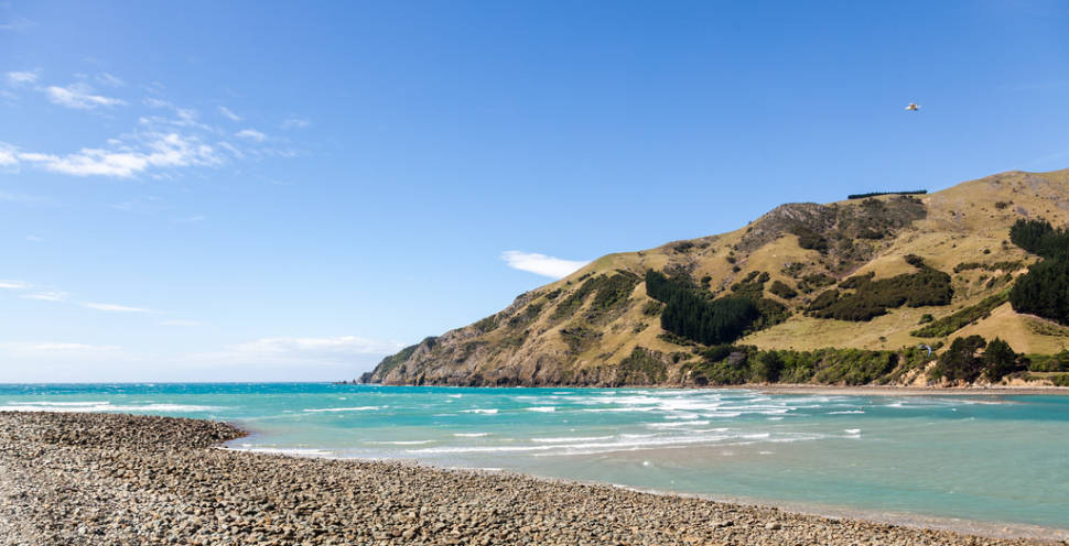 Summer in New Zealand - Best Season