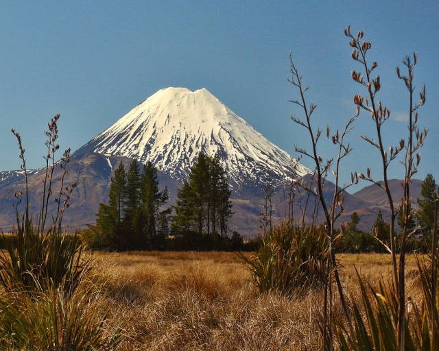 Tongariro Alpine Crossing in New Zealand - Best Time