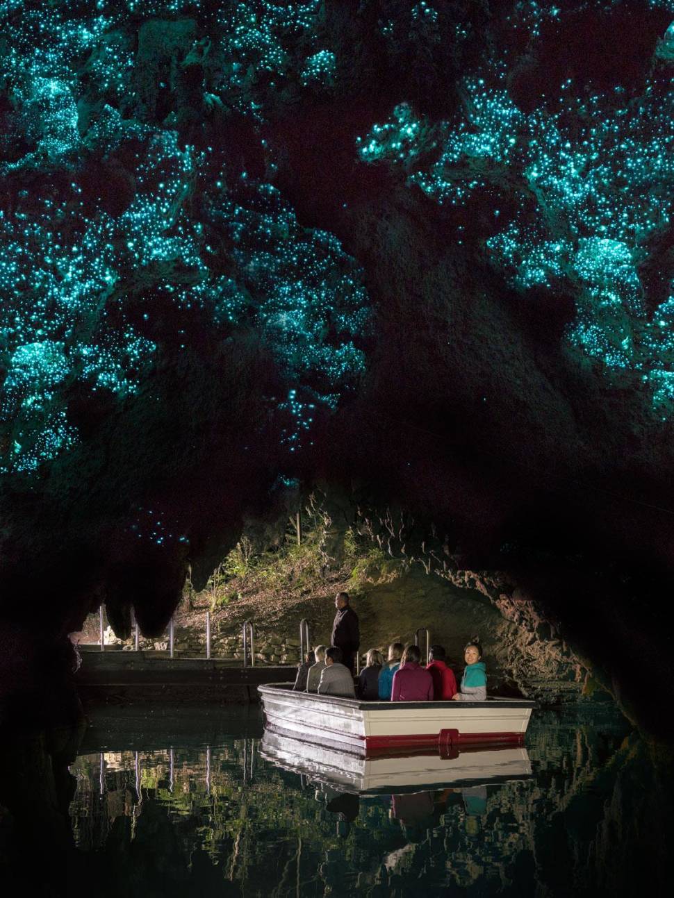 Waitomo Glowworm Caves in New Zealand - Best Season