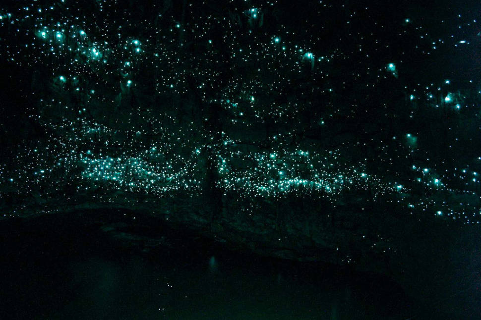 Best time for Waitomo Glowworm Caves in New Zealand