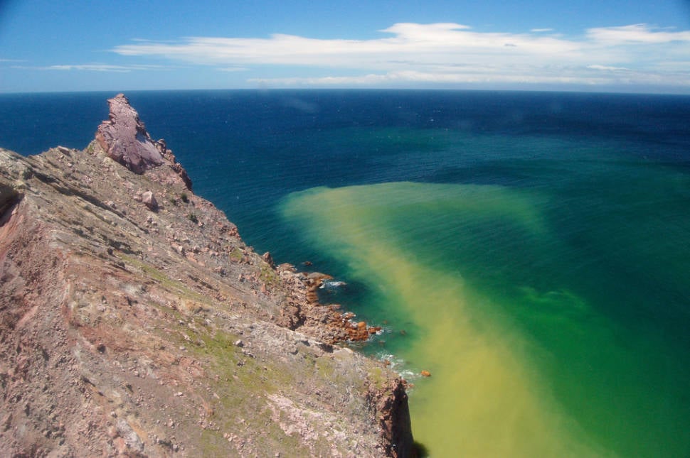 Best time for White Island Tour in New Zealand