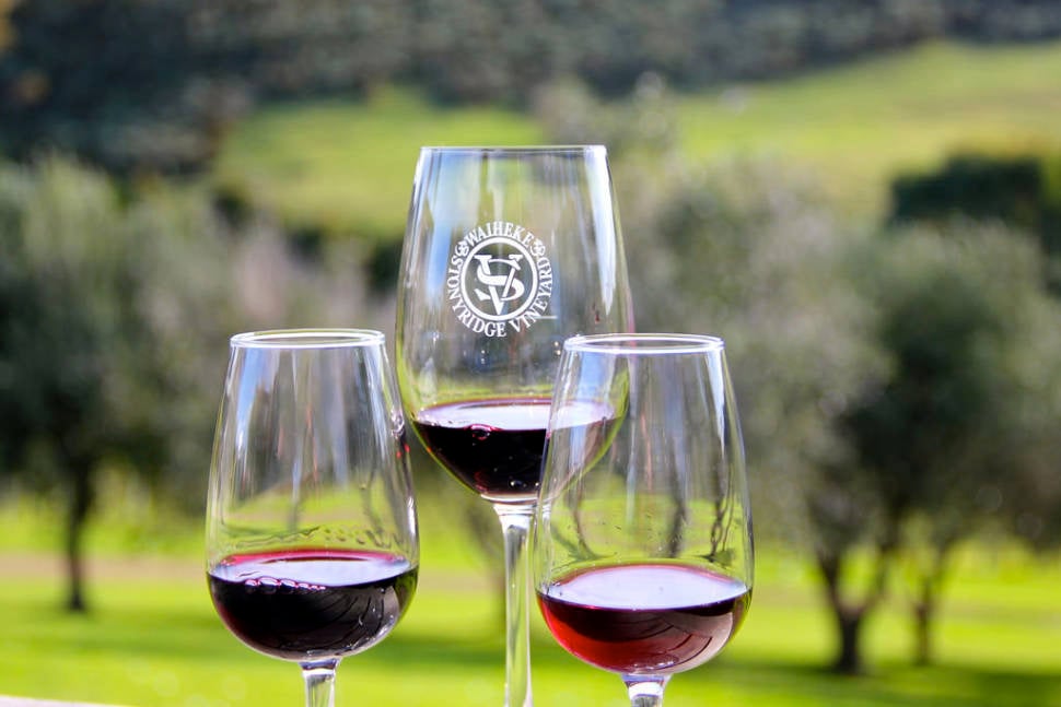 Wine Harvest in New Zealand - Best Time
