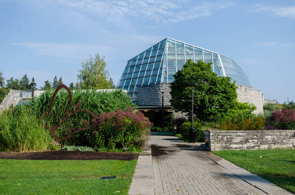 Best time to see Butterfly Conservatory in Niagara Falls