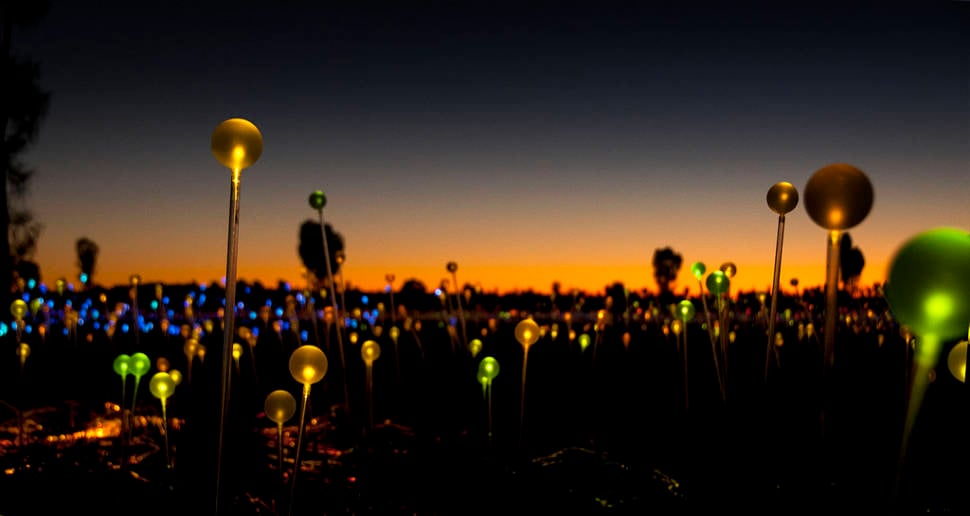 Best time to see Field of Light Uluru in Northern Territory