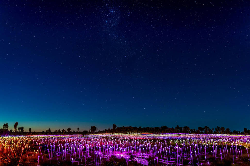 Field of Light Uluru in Northern Territory - Best Season