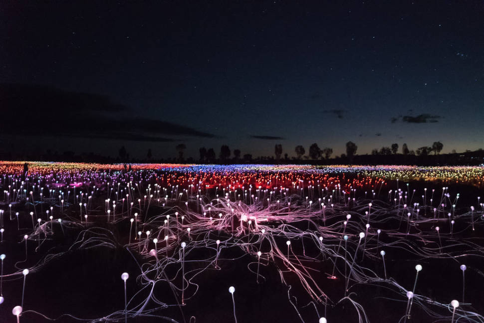 Best time for Field of Light Uluru in Northern Territory