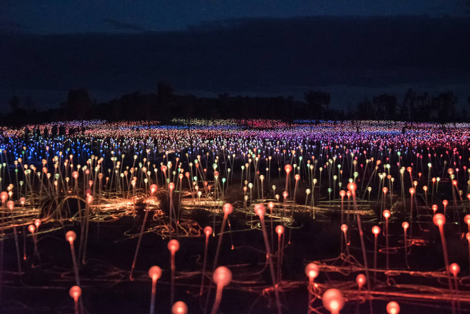 Field of Light Uluru in Northern Territory - Best Time