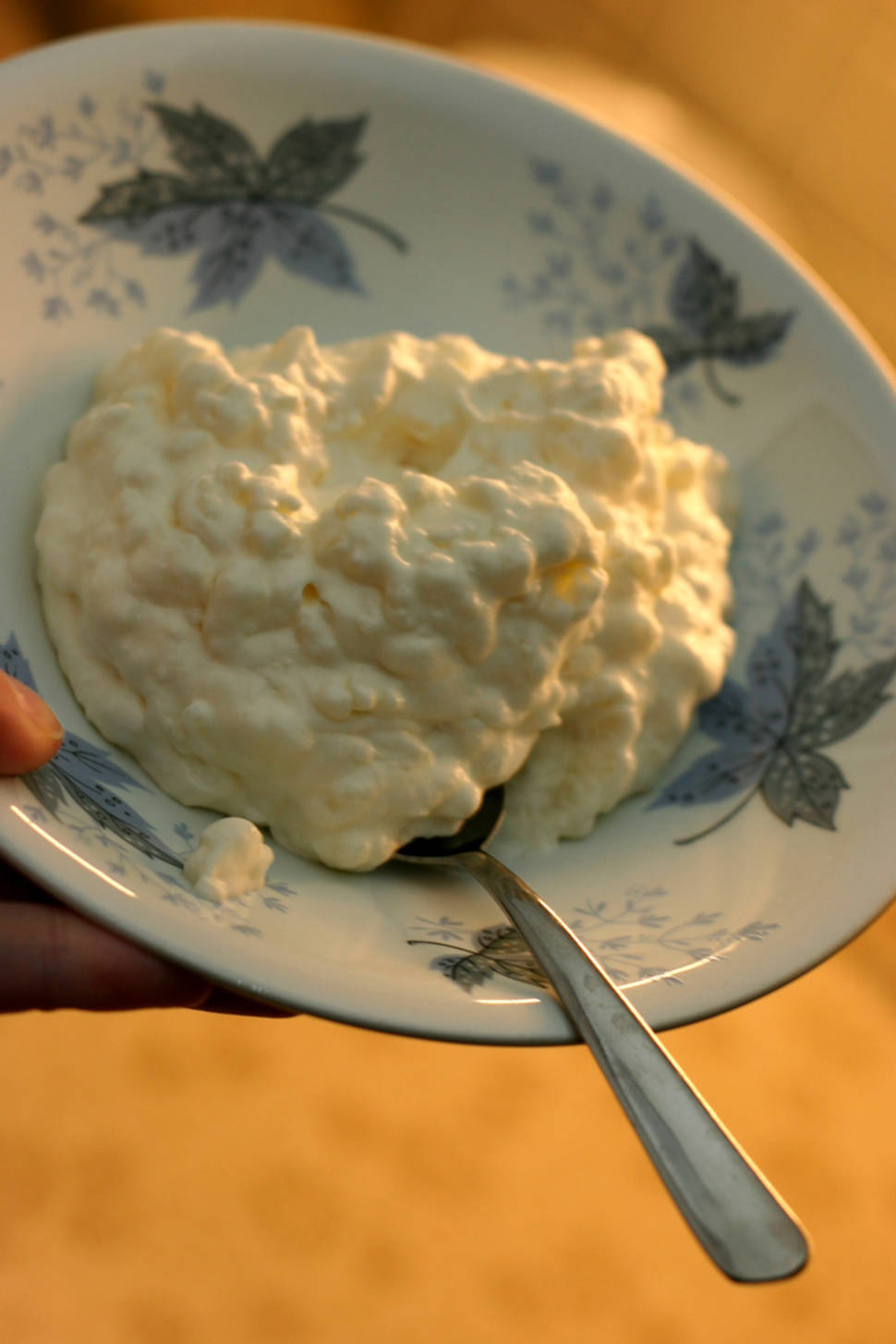 Rice pudding