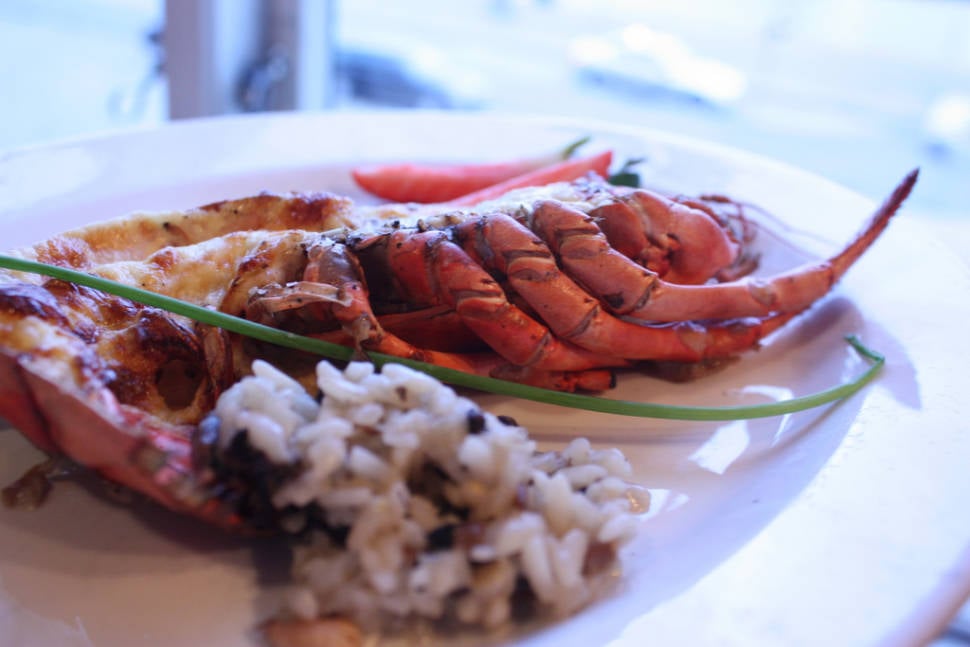 Norwegian Lobster in Norway - Best Season