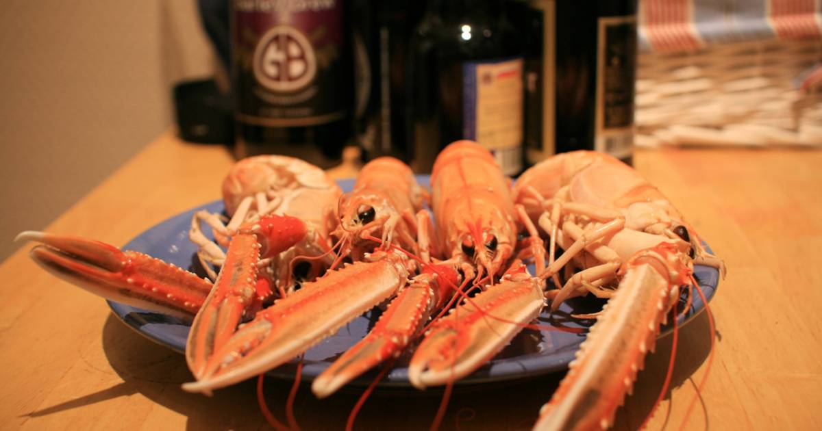 Norwegian Lobster in Norway - Best Time