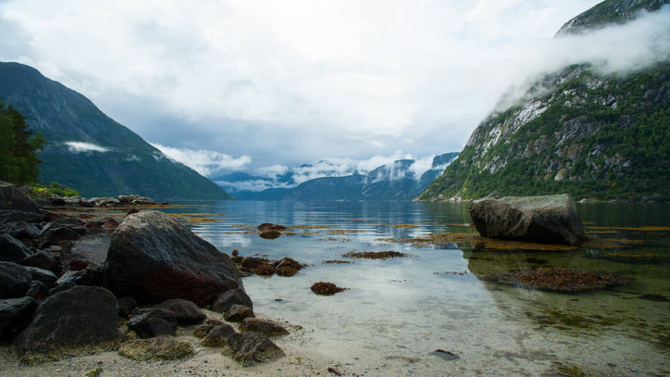 Best time to see Summer in Norway