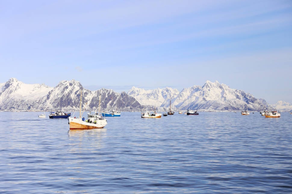Best time for World Cod Fishing Championship in Norway