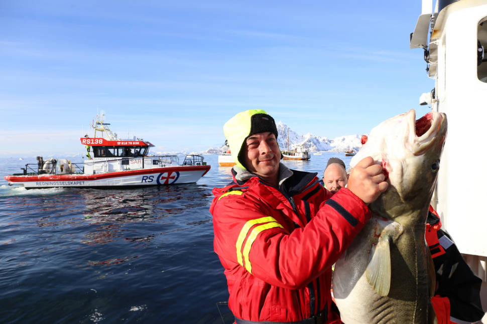 World Cod Fishing Championship in Norway - Best Time