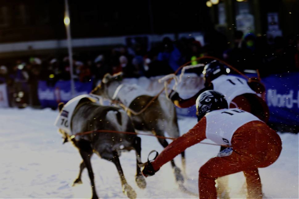Best time to see World Reindeer Racing Championships in Norway