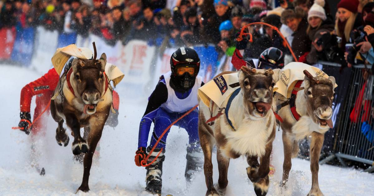 World Reindeer Racing Championships in Norway - Best Time