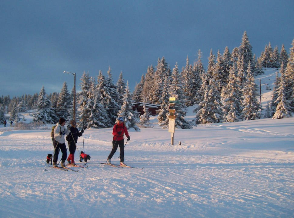 Cross-Country Skiing in Oslo - Best Season