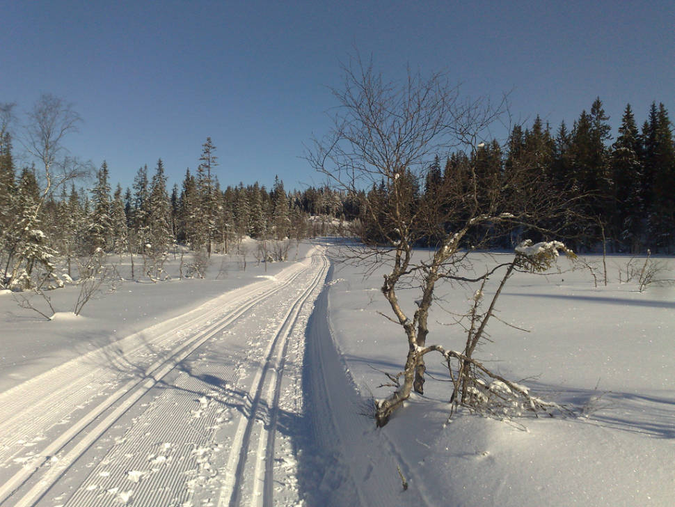 Nordmarka Oslo between Frønsvollen and Skennungen