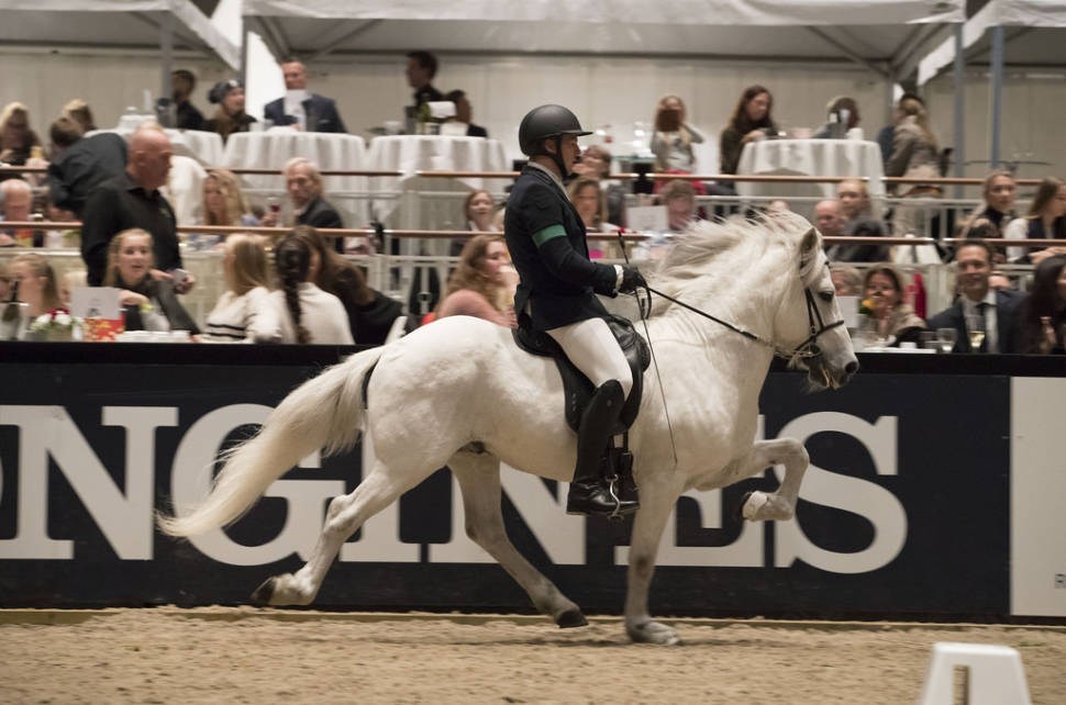 Kingsland Oslo Horse Show in Oslo - Best Season