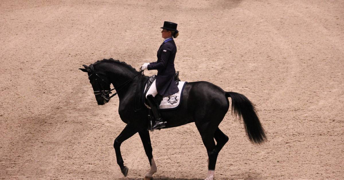 Kingsland Oslo Horse Show in Oslo - Best Time