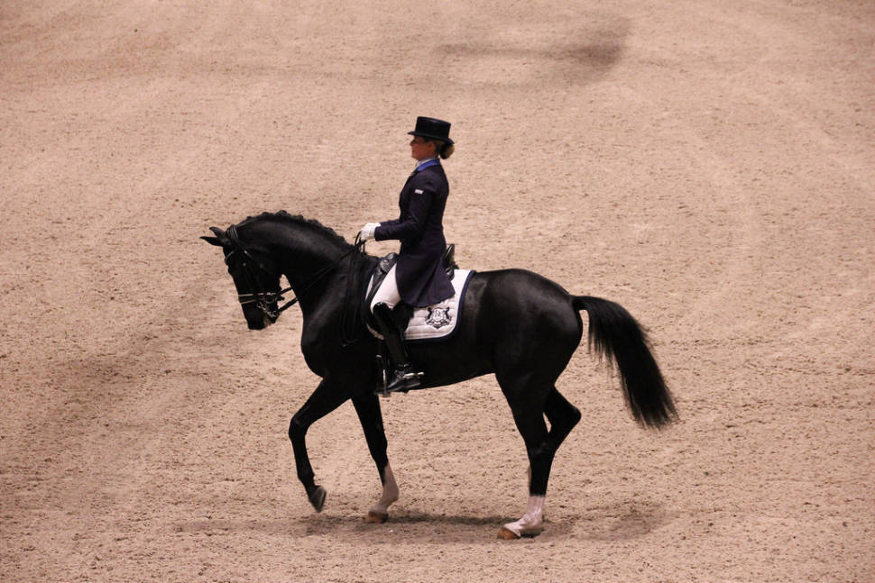 Kingsland Oslo Horse Show in Oslo - Best Time