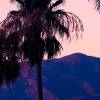 Beste Reisezeit Palm Springs, CA
