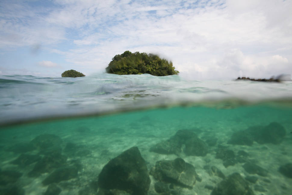 Diving and Snorkelling in Panama - Best Time