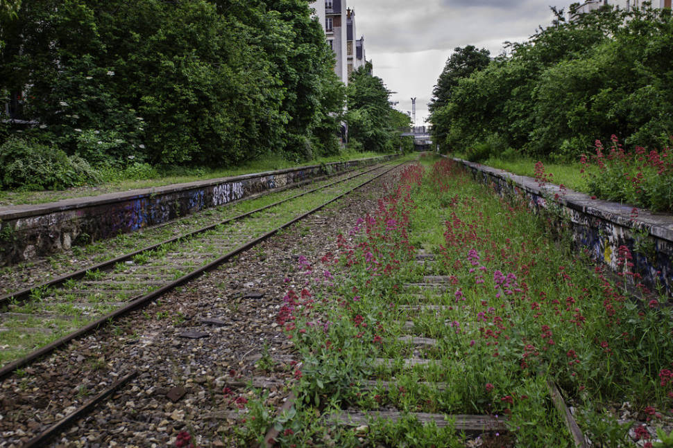 Abandoned Railway Abloom in Paris - Best Season