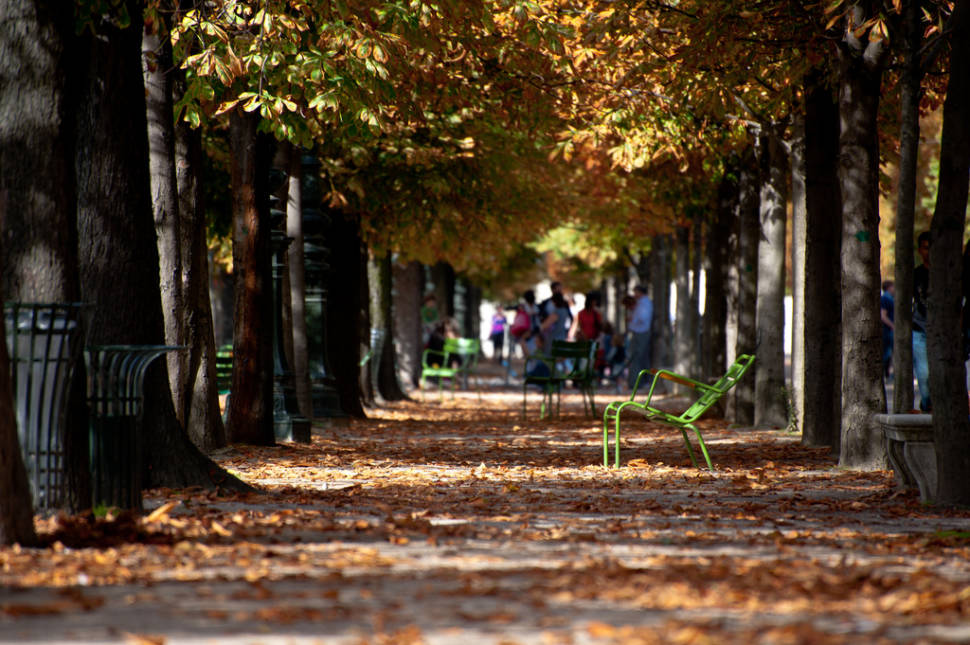 Autumn in Paris - Best Time