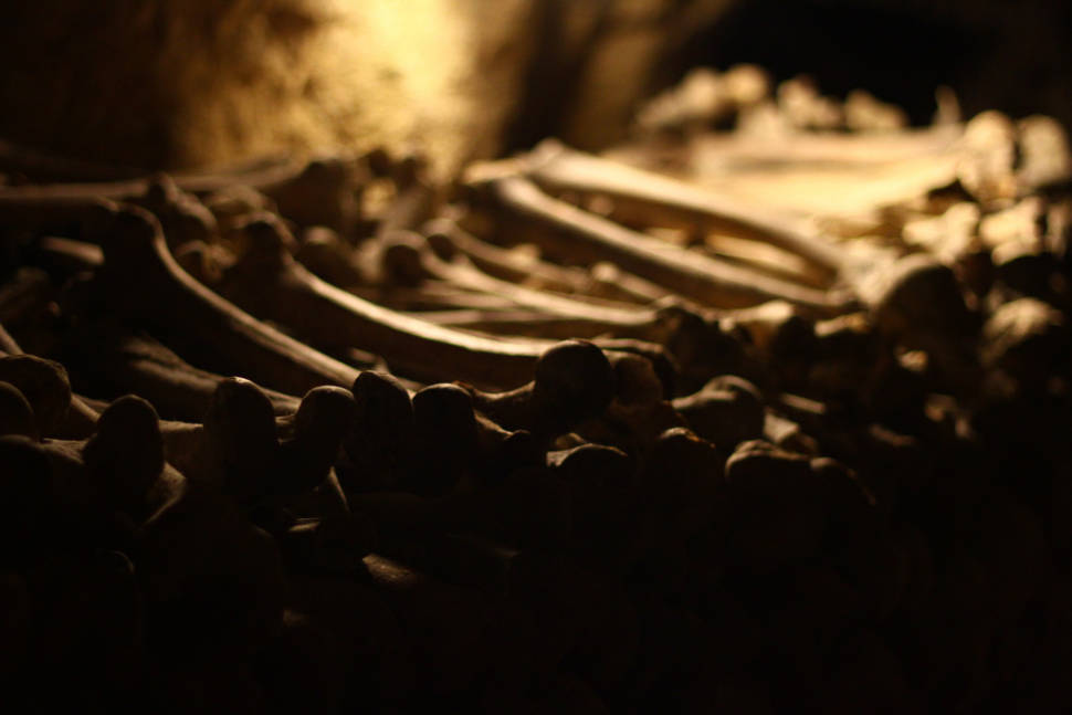 Best time for Catacombs: Shorter Waiting Time in Paris
