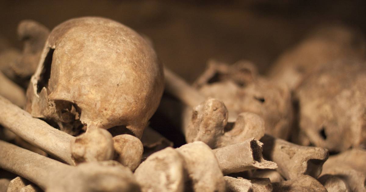 Catacombs: Shorter Waiting Time in Paris - Best Time
