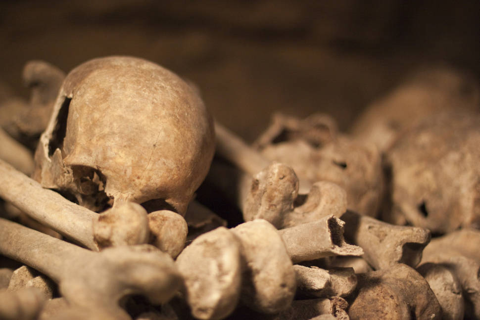 Catacombs: Shorter Waiting Time in Paris - Best Time