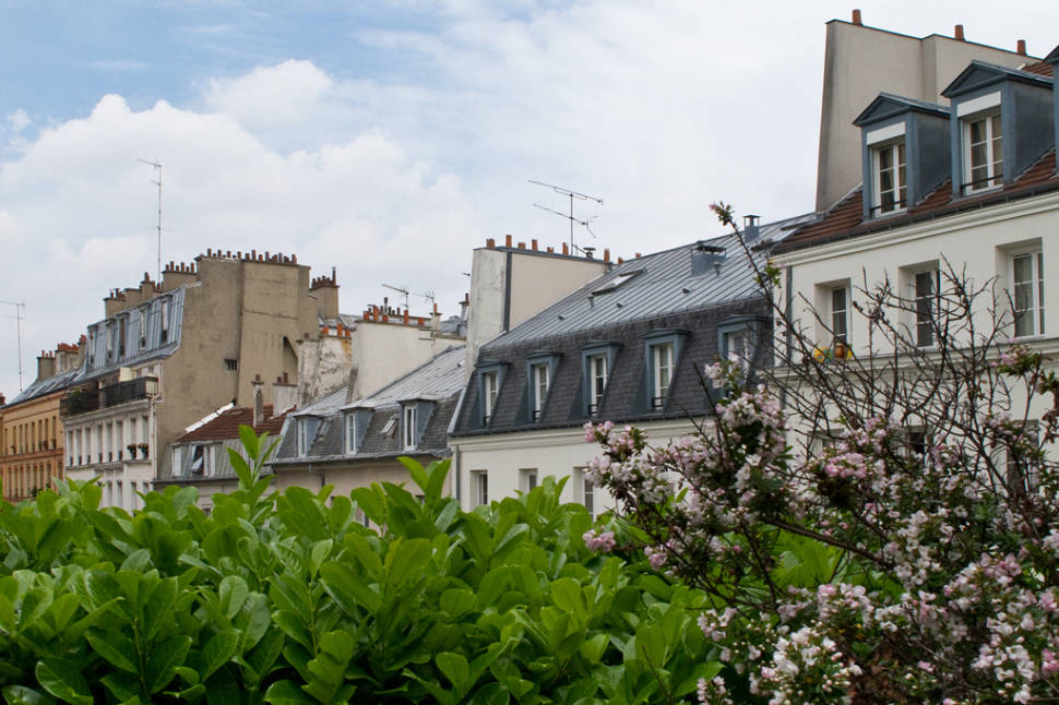 Best time to see La Coulée Verte in Paris