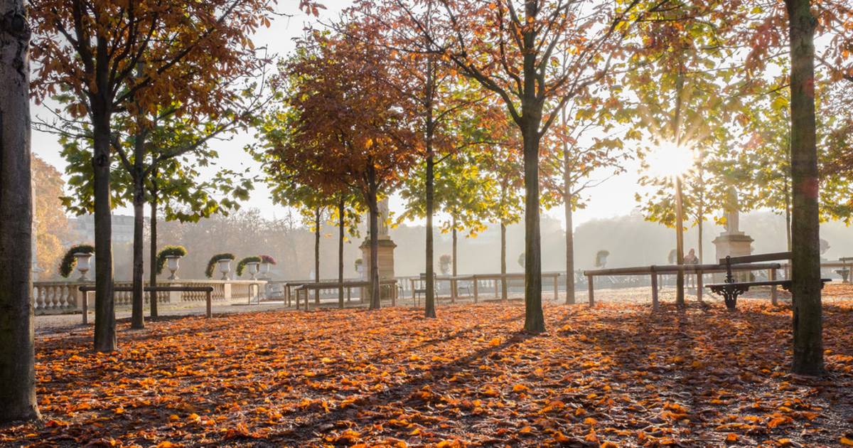 Parks and Gardens in Autumn Foliage in Paris - Best Time
