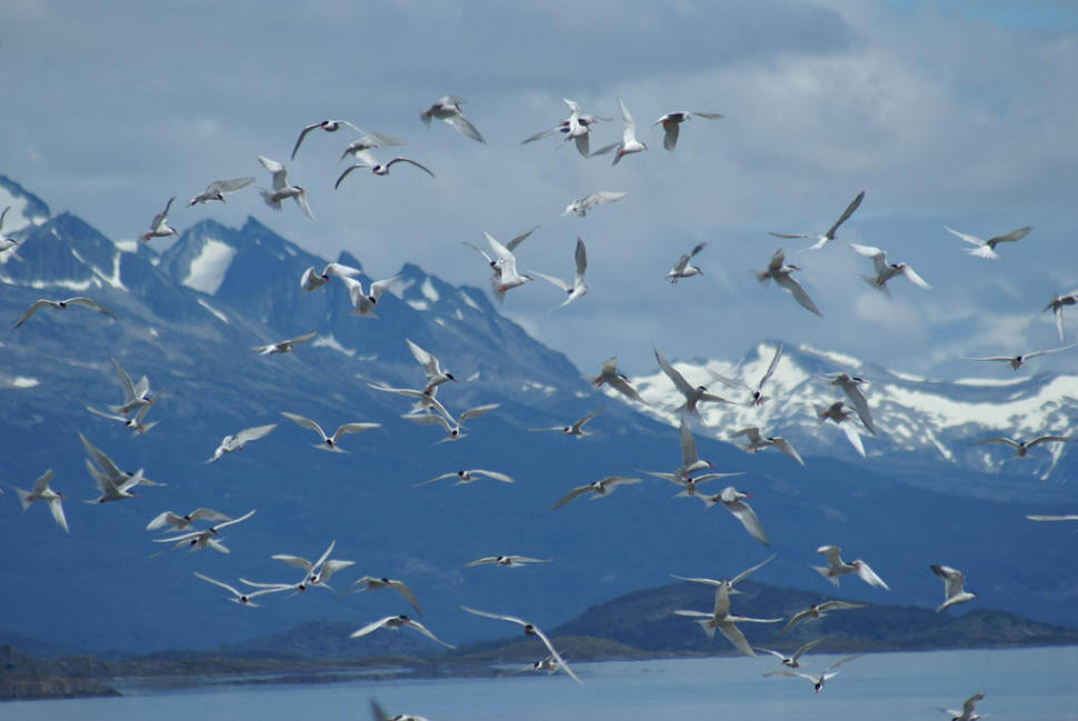 Best time to see Cape Horn in Patagonia