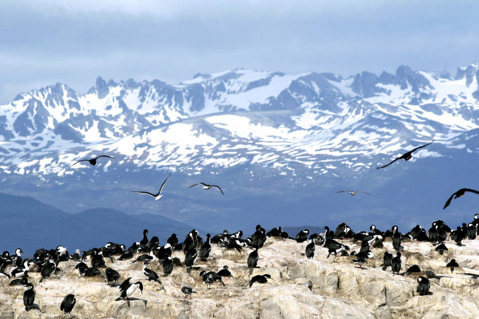 From a boat sailing in Beagle channel, looking at an island between Chile and Argentia