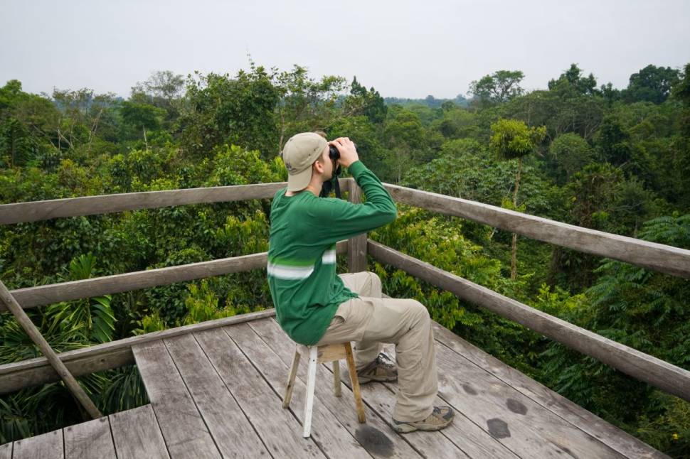 Canopy Watchtower—a 50-60 foot watch tower in the rainforest's canopy.
