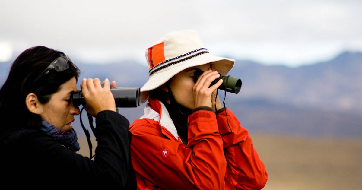 Birdwatching in Peru - Best Time