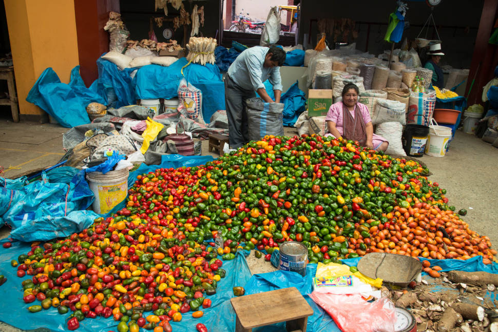 Best time to see Fresh Chili Peppers in Peru