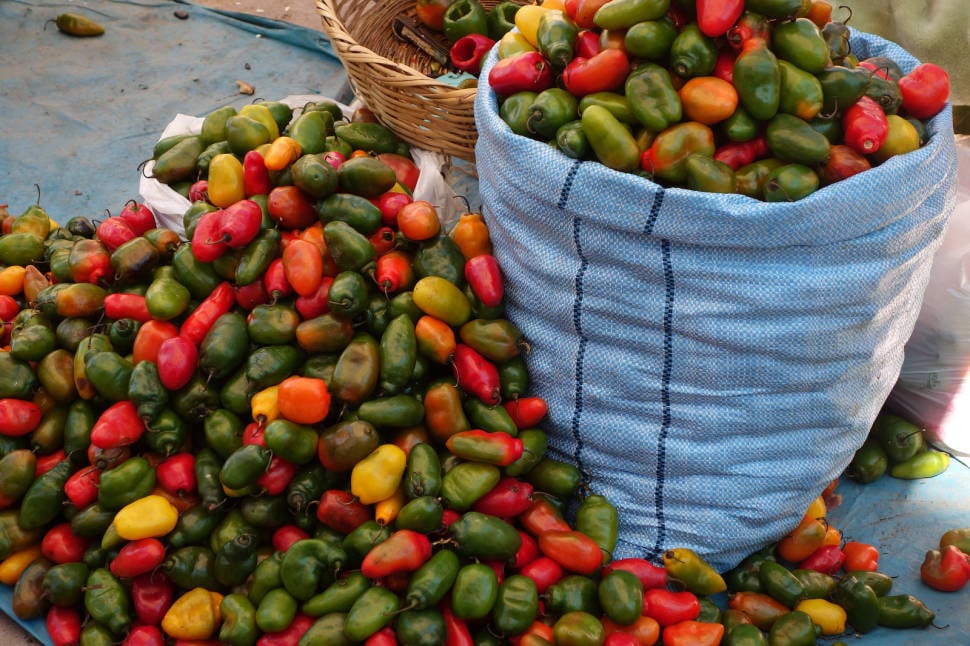 Best time for Fresh Chili Peppers in Peru