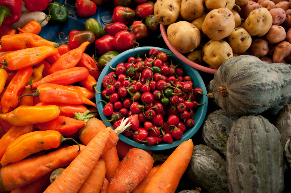Fresh Chili Peppers in Peru - Best Season