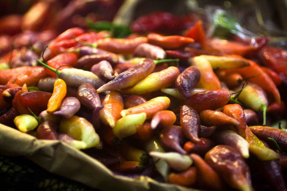 Aji Limo Peruano