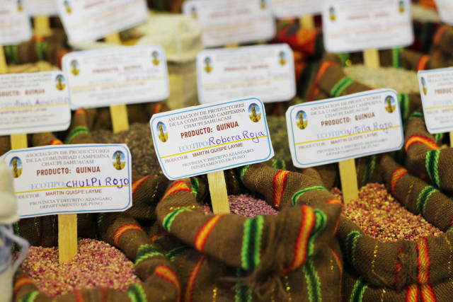 Mistura Gastronomic Fair in Peru - Best Season