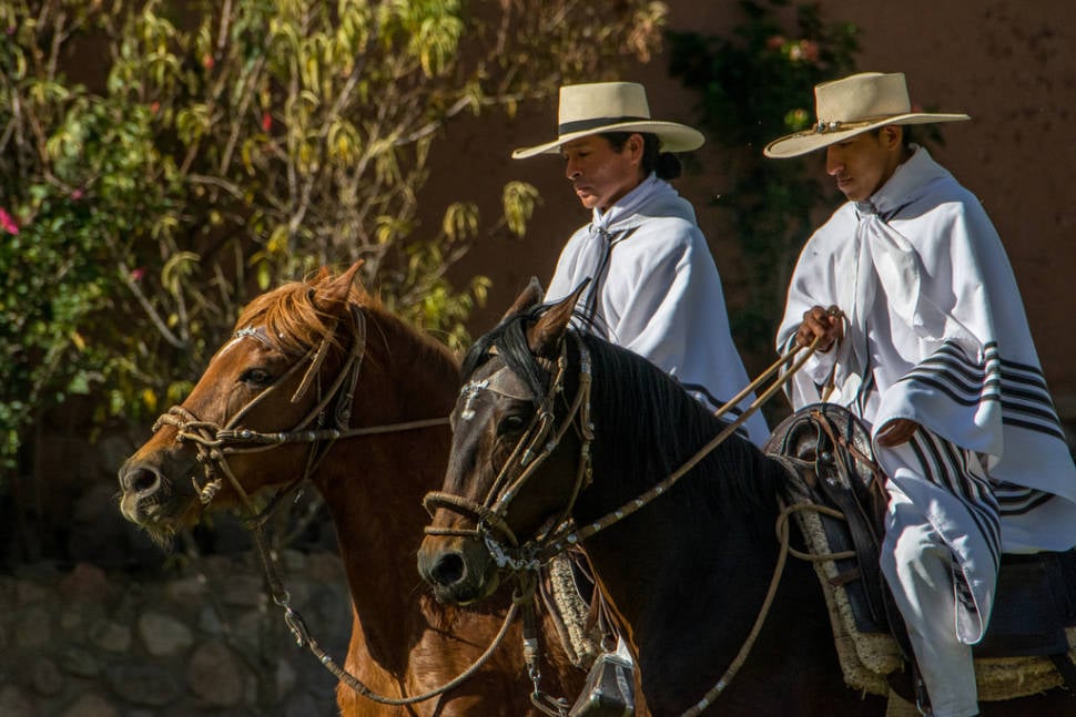 Best time for Peruvian Paso Horse Competitions in Peru